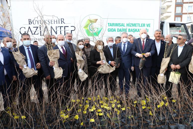Büyükşehir, Oğuzeli Çiftçisine 15 Bin Nar ve 10 Bin Antep Fıstığı Fidanı Dağıttı