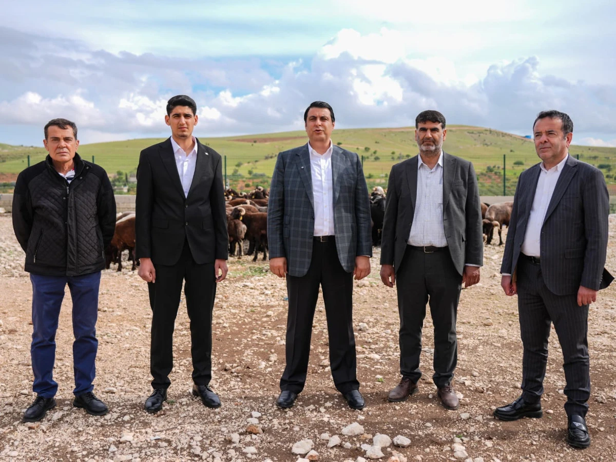 Başkan Yılmaz Kurbanlık Fiyatlarını A&ccedil;ıkladı
