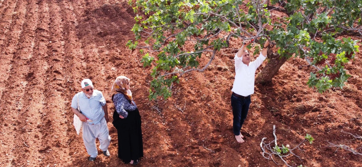 Dolu Felaketi Sonrası Ali Şahin&rsquo;den &Ccedil;ift&ccedil;ilere Destek Mesajı