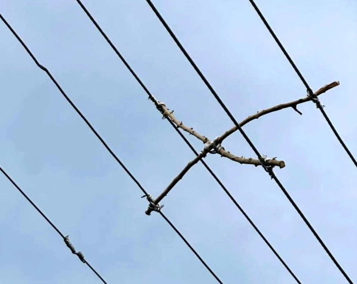 Şok Görüntüler! Şok Tedbir! Festival Park’ta Akıl Almaz Manzara!
