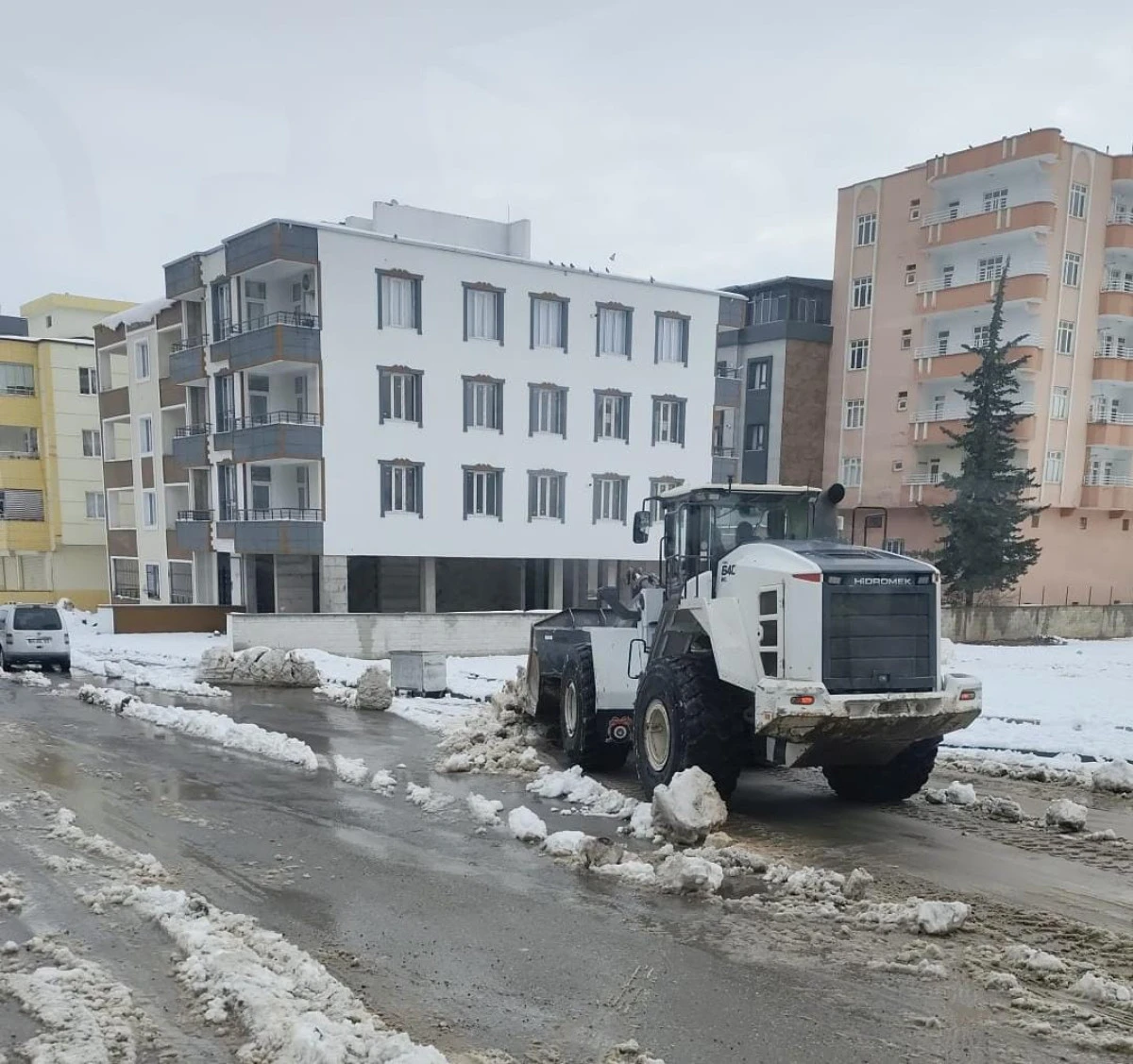 Nizip&rsquo;te Karla M&uuml;cadele S&uuml;rerken Sokak Hayvanlarına Destek